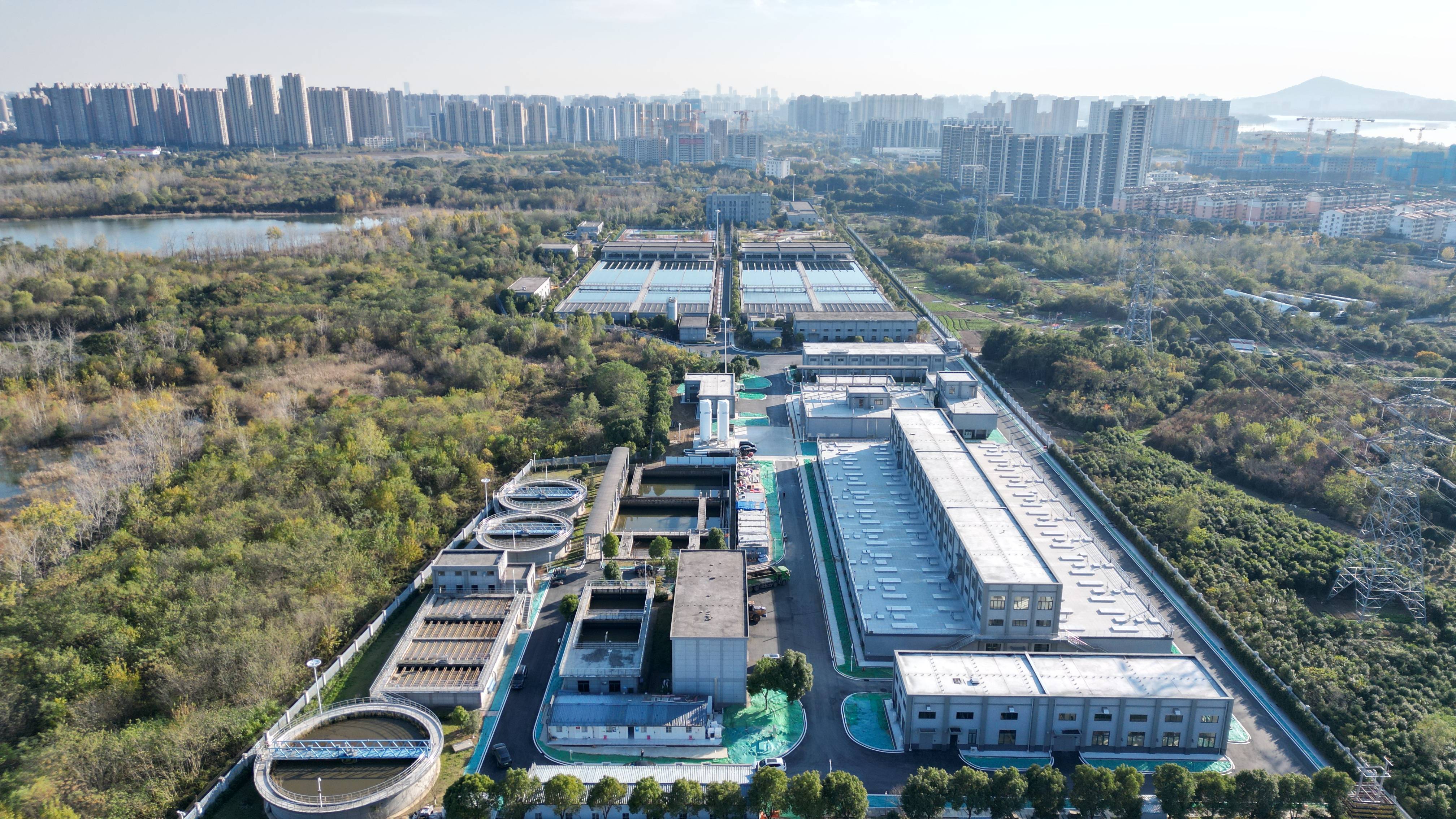 南平市合肥专业企业价值增长(合肥市重点企业产业目录)