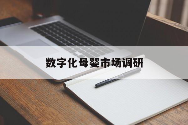 南平市数字化母婴市场调研(数字化母婴市场调研报告)